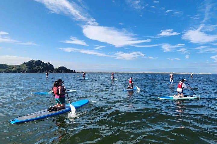 SUP at Jodogahama: Michinoku Coastal Trail Miyako Tour with Local Bin Don Lunch