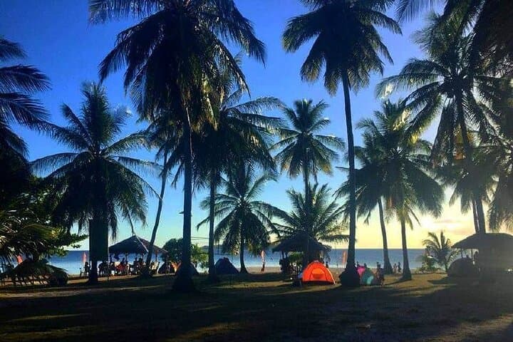 Private Island Hopping Cuatro Islas Leyte: Snorkel, Sandbars & Secluded Beaches photo 6