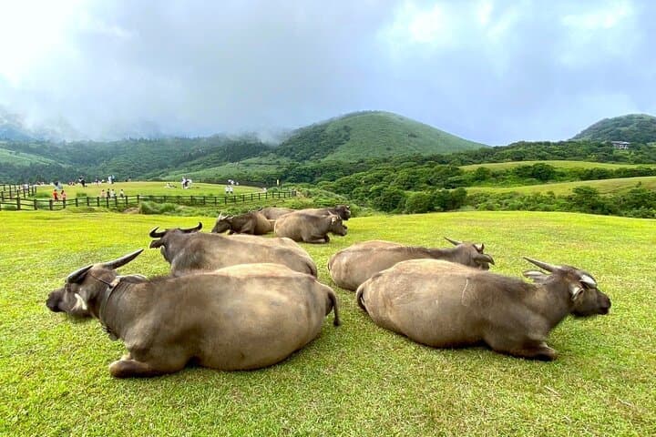 Yangmingshan & Beitou Full-Day Hot Spring and Flower Tour from Taipei photo 4