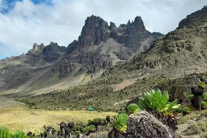 Day Hike on Mount Kenya via Naro Moru: Met Station to 3,800m photo 3