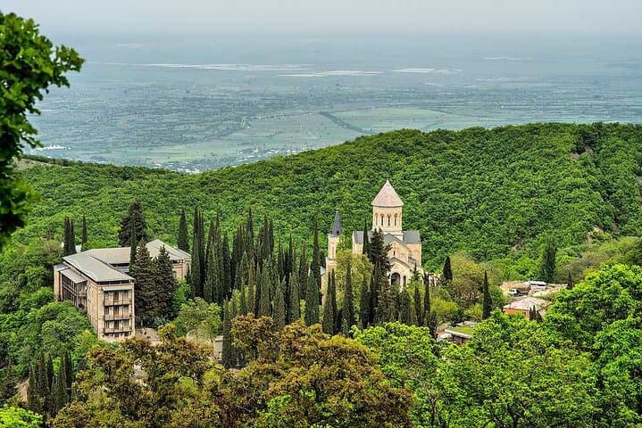 Kakheti Vineyards, Culture & Heritage: Day Tour from Tbilisi photo 3