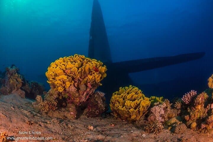 Aqaba 2-Tank Boat Dive: Certified Diver Day Trip on the Red Sea photo 2