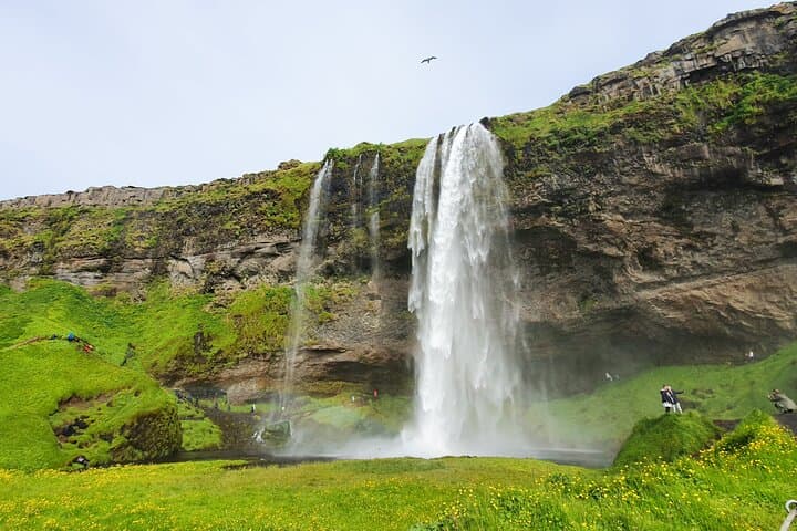 Private South Coast Tour from Skarfabakki — Seljalandsfoss, Skógafoss & Reynisfjara