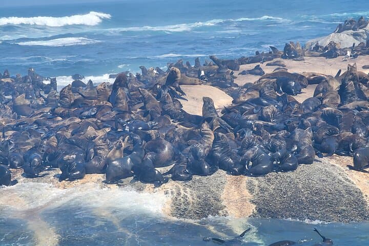 Experience the Six Wonders of Cape Town in 3 Days — Table Mountain, Robben Island & Winelands photo 5