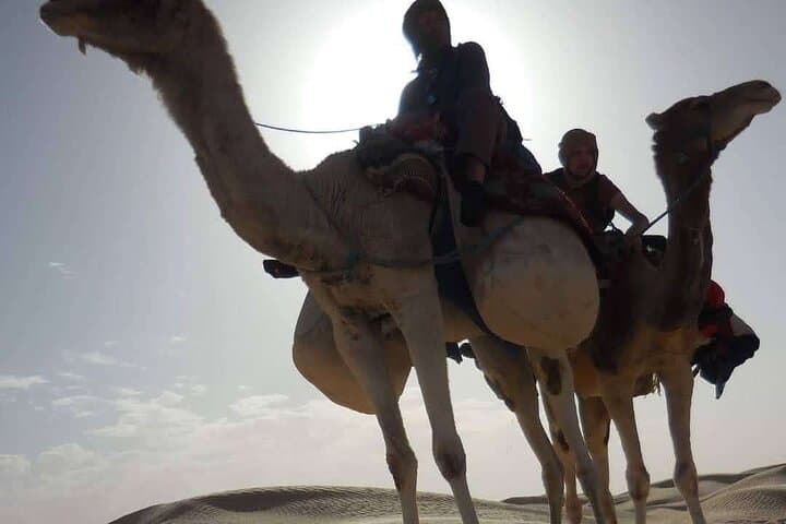 2-Day Sahara Camel Trek from Douz: Overnight Dune Bivouac with Nomads photo 4
