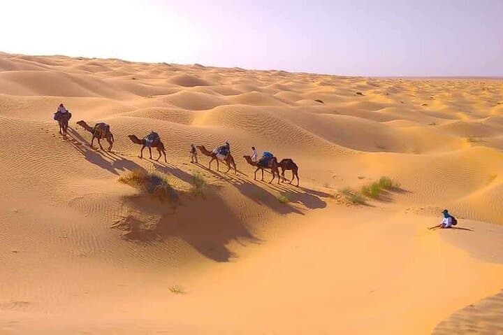2-Day Sahara Camel Trek from Douz: Overnight Dune Bivouac with Nomads photo 5