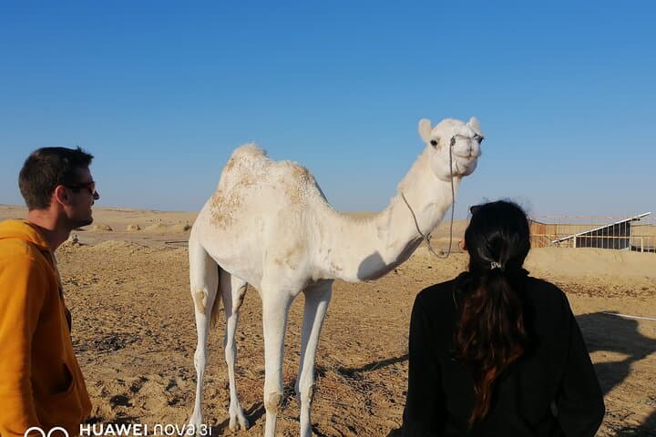 2-Day Sahara Camel Trek from Douz: Overnight Dune Bivouac with Nomads photo 6