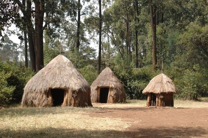 Karen Blixen, Giraffe Centre & Bomas of Kenya Day Tour from Nairobi photo 4