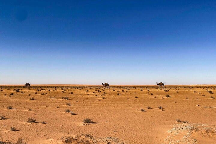 Private Desert Tour to Ksar Ghilene and Matmata from Djerba photo 2