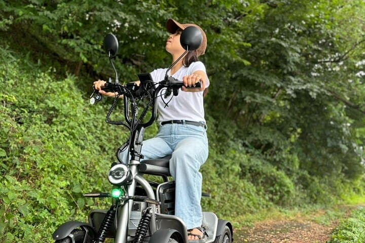 Drive an E-Kart on Nagano Public Roads — No License Required photo 5