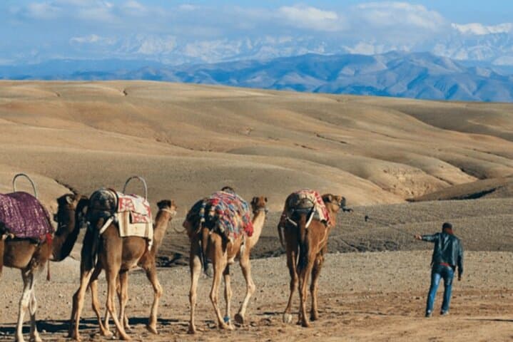 Agafay Morning Escapade: 1-Hour Quad + 1-Hour Camel Ride from Marrakech photo 4
