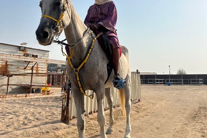 Doha Desert Horse & Camel Ride — Sunrise and Sunset Arabian Experience photo 5