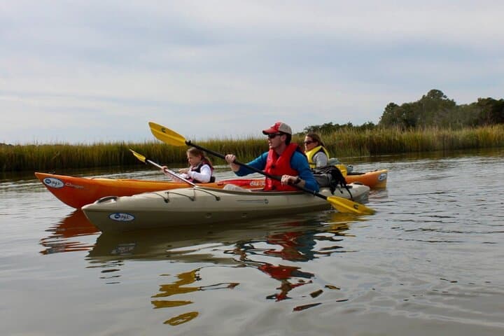 Palmetto Bluff May River Kayak Tour — 2-Hour Guided Salt Marsh Paddle photo 3