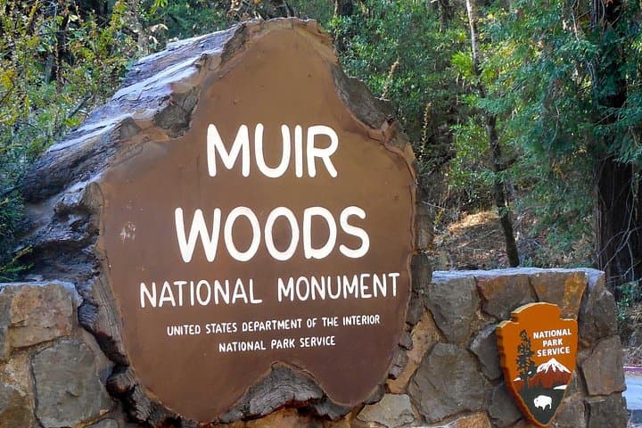 Muir Woods & Sausalito Day Trip from San Francisco: Guided Redwoods and Coastal Stroll photo 2
