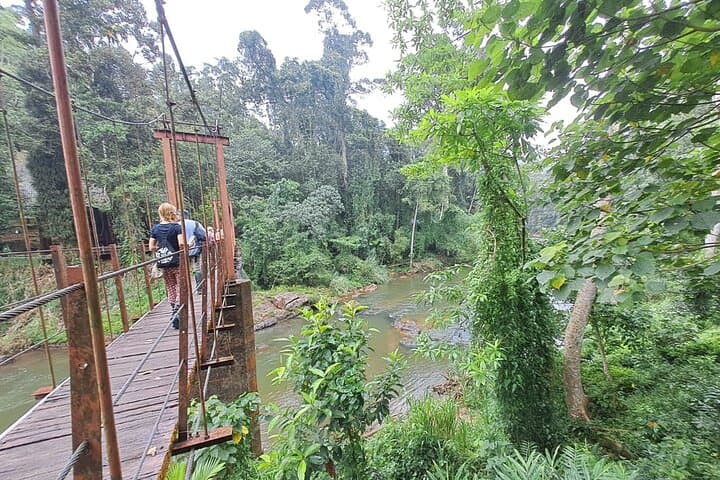 Sinharaja Rainforest Trip: Guided Day Hike in Sri Lanka’s UNESCO Forest photo 3