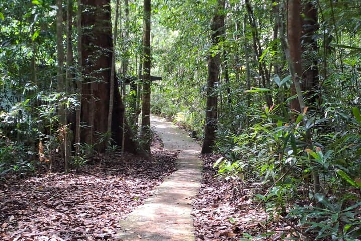 Sinharaja Rainforest Trip: Guided Day Hike in Sri Lanka’s UNESCO Forest photo 4