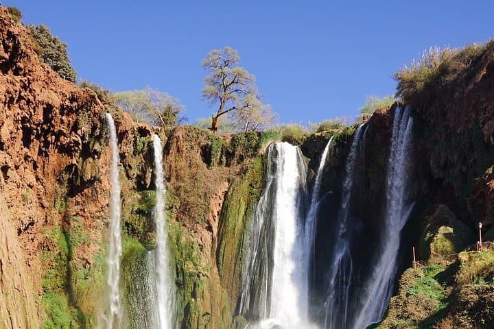 Full-Day Ouzoud Waterfalls Adventure from Marrakech: Hike, Boat Ride & Berber Village Lunch photo 3