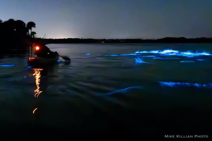 Cocoa Beach Sunset Bioluminescent Kayak Tour — Night Paddle Through Glowing Waters photo 3