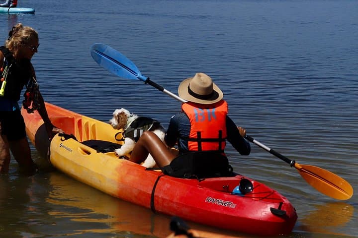 Paddle with Manatees and Dolphins on the Indian River: Cocoa Beach Kayak Tour photo 2