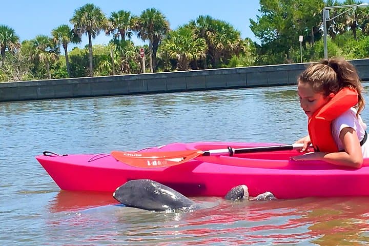 Paddle with Manatees and Dolphins on the Indian River: Cocoa Beach Kayak Tour photo 4