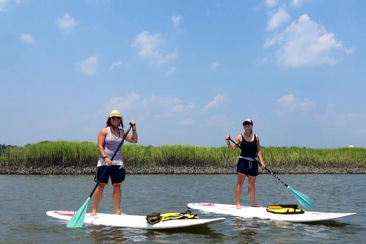 Ultimate Lowcountry Day: 7-Hour Private Boat Adventure from Hilton Head photo 3