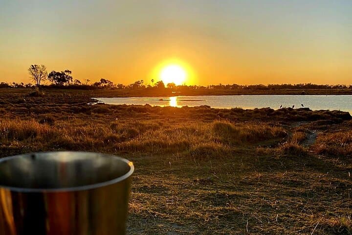 Okavango Delta Day Trip: Mokoro Canoe, Game Drive & Bush Walk photo 4