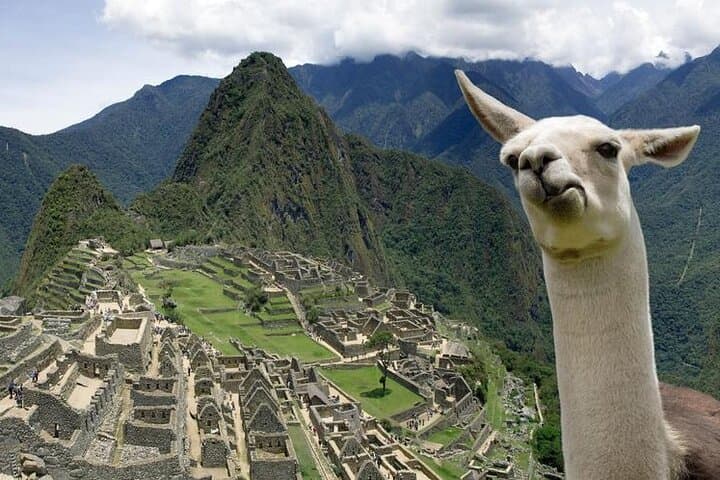 Full-Day Machu Picchu Tour from Cusco: Train, Guided Ruins Walk & Lunch photo 6