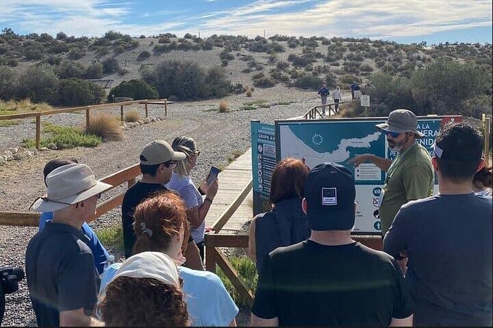Punta Tombo Penguin Paradise: Full-Day Trip from Puerto Madryn photo 2