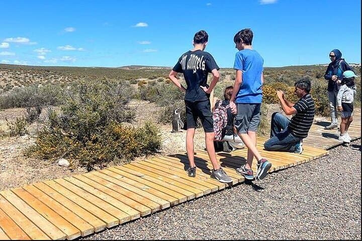 Punta Tombo Penguin Paradise: Full-Day Trip from Puerto Madryn photo 3