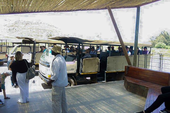 Aquila Private Game Reserve Day Safari from Cape Town with Wine Tasting photo 5