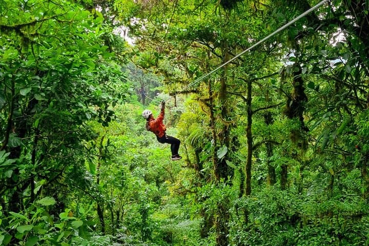 Selvatura Park Canopy Tour: Zipline Through Monteverde's Cloud Forest photo 6