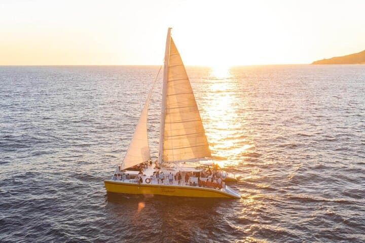 Los Cabos Whale Watching and Sunset Catamaran Cruise at Sunset photo 5