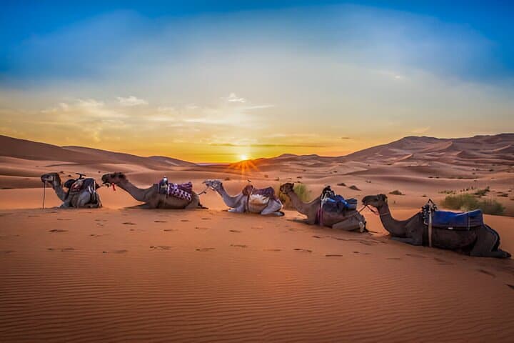 Sahara Express: 3-Day Merzouga Desert Expedition from Fes to Marrakech photo 1