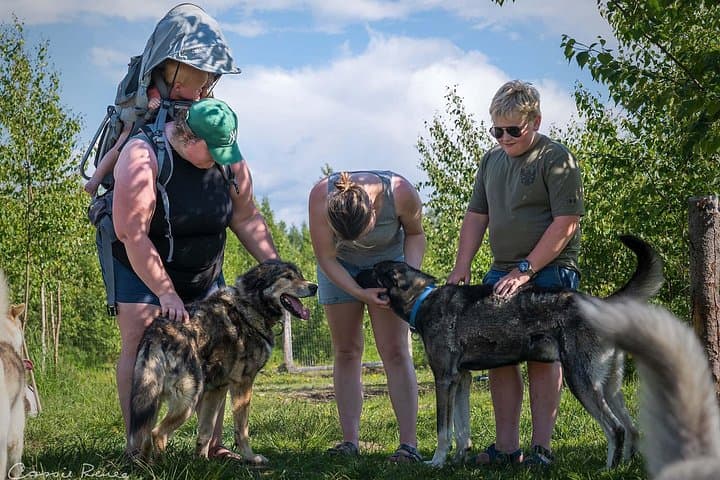 Meet Alaska's Sled Dogs: Kennel Tour at Susitna Sled Dog Adventures photo 3