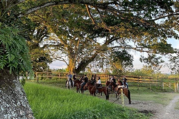 Private Horseback Ride from Pereira: Cauca Valley Haciendas & Riverbanks photo 3