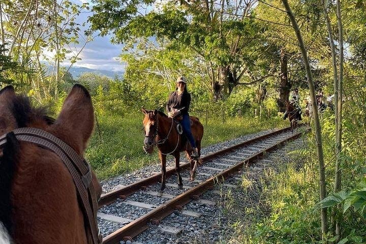 Private Horseback Ride from Pereira: Cauca Valley Haciendas & Riverbanks photo 4
