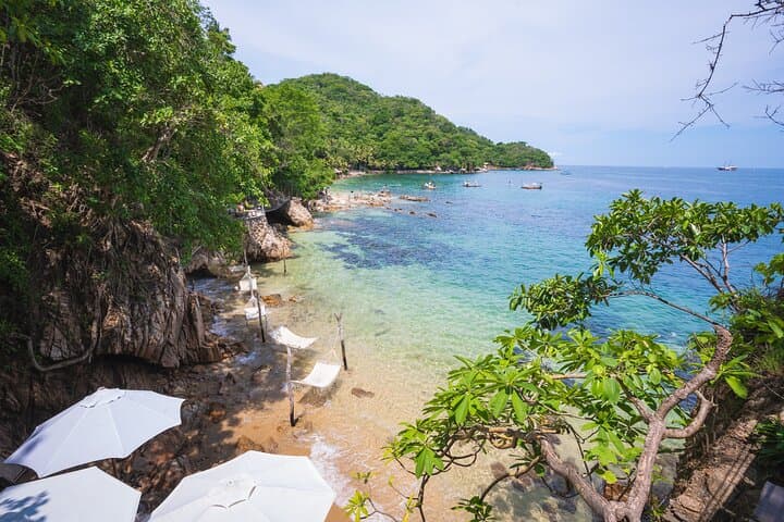 Las Caletas Day Escape: Snorkel, Zipline and Beach Adventure from Puerto Vallarta photo 2