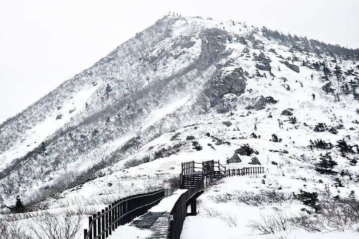 Winter One-Day Seoraksan & Maebawi Ice Wall Tour from Seoul photo 5