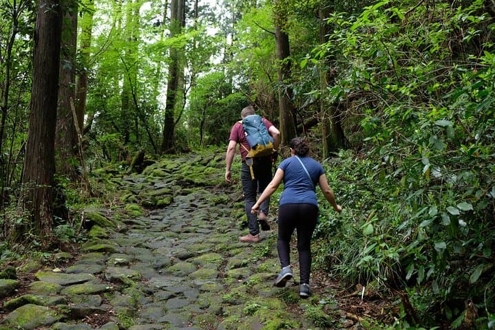 Half-Day Hakone Hachiri Hike: Forest Bathing from Hakone Yumoto to Lake Ashi photo 5