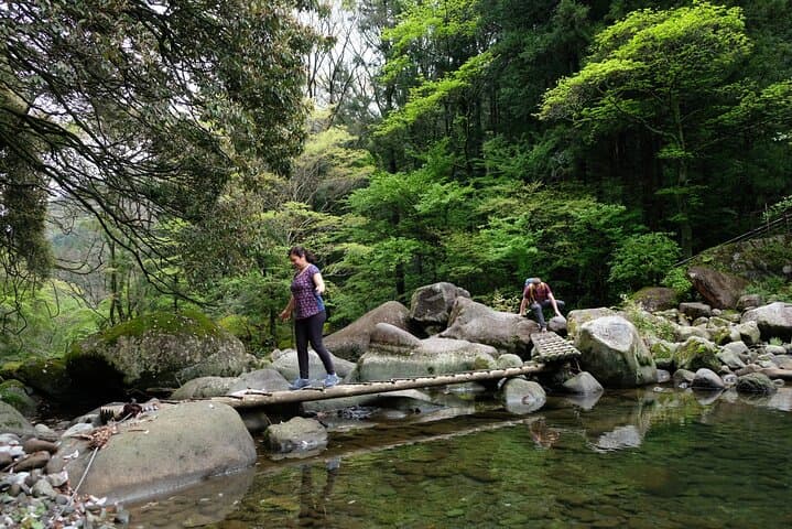Half-Day Hakone Hachiri Hike: Forest Bathing from Hakone Yumoto to Lake Ashi photo 3