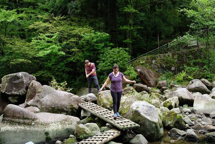 Half-Day Hakone Hachiri Hike: Forest Bathing from Hakone Yumoto to Lake Ashi photo 4