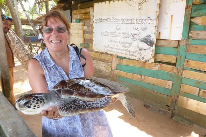10-Day Sri Lanka Private Tour: Sigiriya, Kandy, Ella, Yala & Southern Coast photo 3