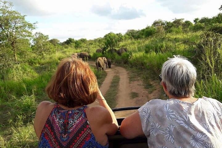 10-Day Sri Lanka Private Tour: Sigiriya, Kandy, Ella, Yala & Southern Coast photo 6