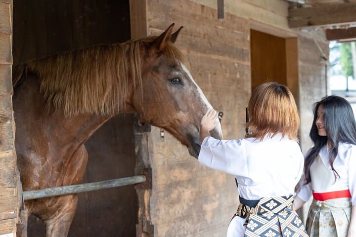 Private Horse Interaction Near Mount Fuji: Feed, Brush & Ride at Omuro Sengen photo 3