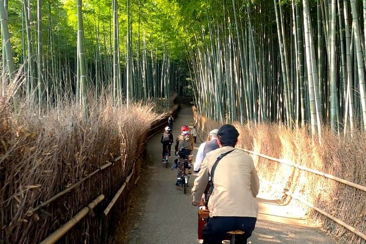 Slow Cycling Arashiyama: BROMPTON Tour Through Sagano's Quiet Paths photo 2