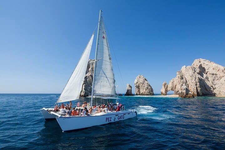 Los Cabos Whale Watching Catamaran Cruise — All-Inclusive Pacific Adventure photo 3