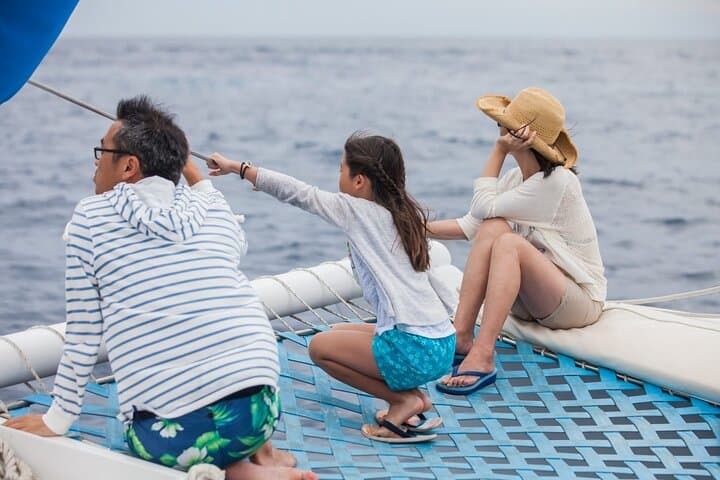 Los Cabos Whale Watching Catamaran Cruise — All-Inclusive Pacific Adventure photo 5