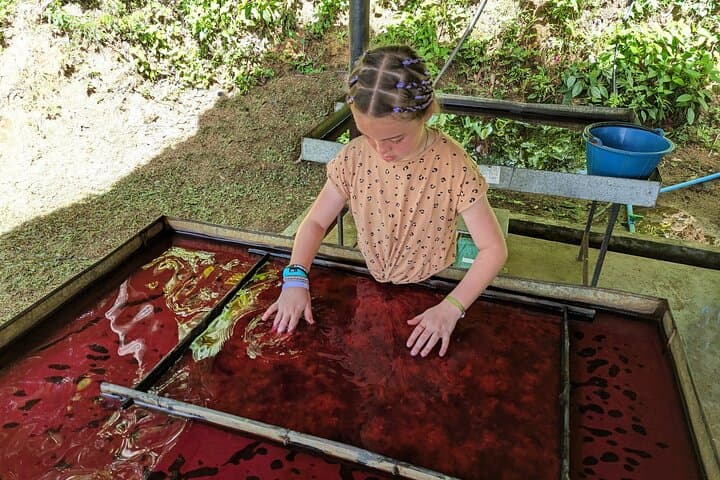 Phuket Elephant Nature Reserve: Ethical Half-Day Sanctuary Experience photo 4