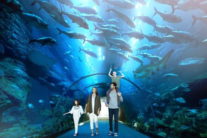 Dubai Aquarium & Underwater Zoo: 48-Meter Tunnel and Behind-the-Scenes Encounters photo 2