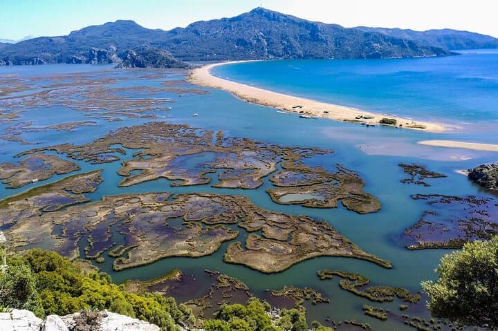 Dalyan Day Trip: Mud Bath, River Cruise & Turtle Beach from Fethiye